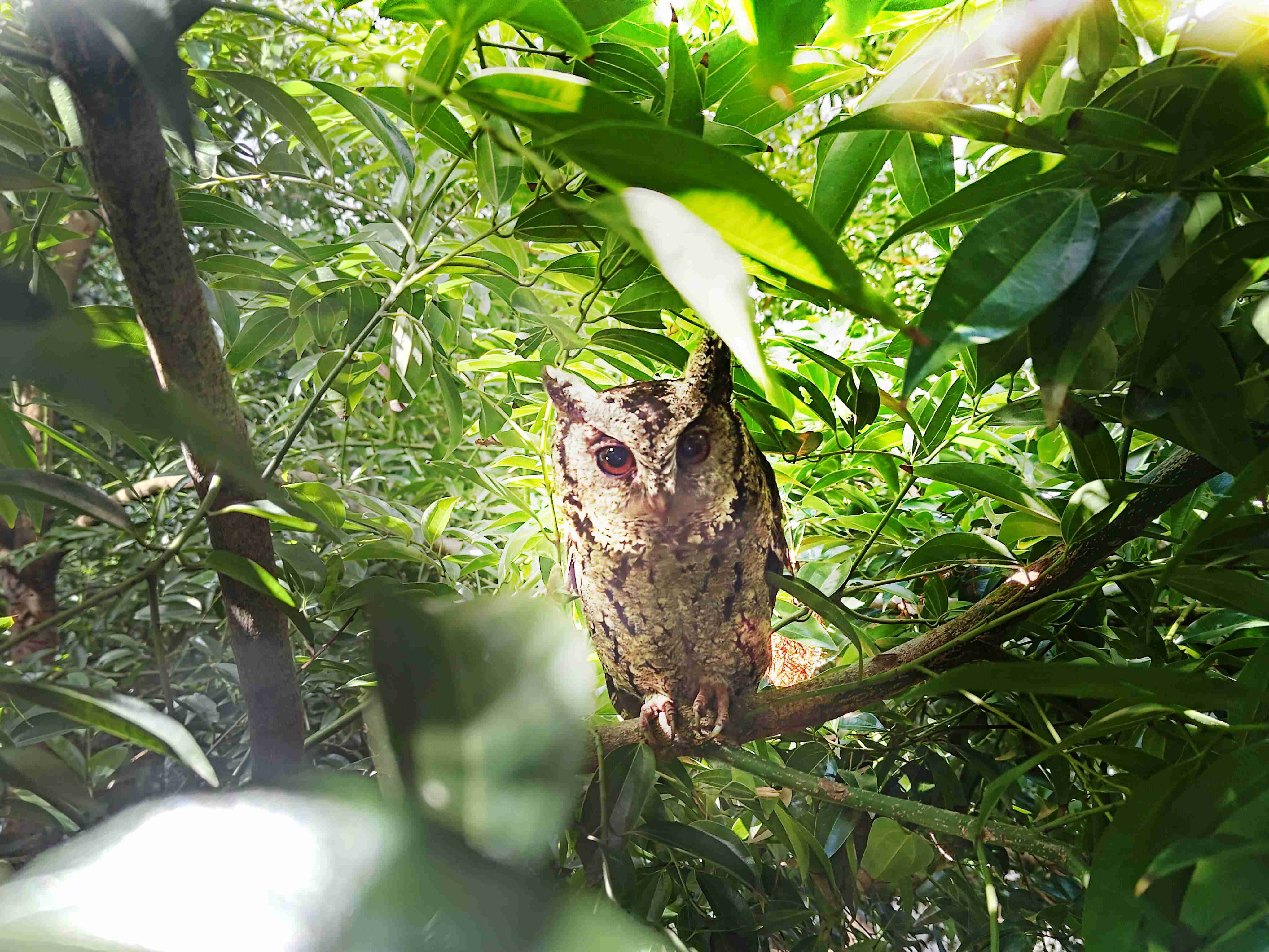 z6mg·人生就是博致力提倡净零绿生活，，16年以来在全球各厂区植树逾百万棵，，，，造就各厂区树木蔚然成林，，，犹如森林工厂，，，，成为许多生物的栖息地